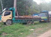 OTK Rambah Kayu Deleng Cengkeh, Banjir Bandang Jilid 2 Menanti