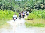 Bupati Simalungun dan Kadis PUTR Tinjau Kondisi Jalan Penghubung Nagori Sordang Bolon Menuju Bangun Sordang