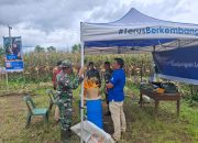 Lapas Narkotika Pematangsiantar Dukung Ketahanan Pangan Lewat Pengenalan Benih Jagung Hibrida Pioneer P88