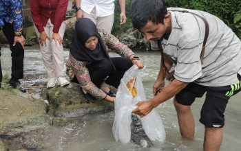 Wakil Wali Kota Pematangsiantar Herlina Menebar Bibit Ikan Nila 