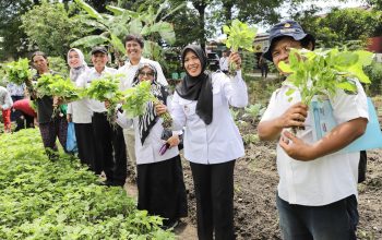 Wakil Wali Kota Pematangsiantar Herlina Monitoring Program Pekarangan Pangan Lestari Kelompok Wanita Tani  Mitra Jaya
