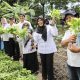 Wakil Wali Kota Pematangsiantar Herlina Monitoring Program Pekarangan Pangan Lestari Kelompok Wanita Tani  Mitra Jaya