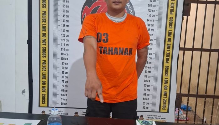 Lagi..Kasnob Polres Simalungun Gempur  Jaringan Bandar Sabu 