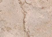 LSM GPRI Soroti Proyek Jalan Usaha Tani Bahalat Bayu: Baru Hitungan Bulan Sudah Rusak, Diduga Tak Sesuai Spesifikasi