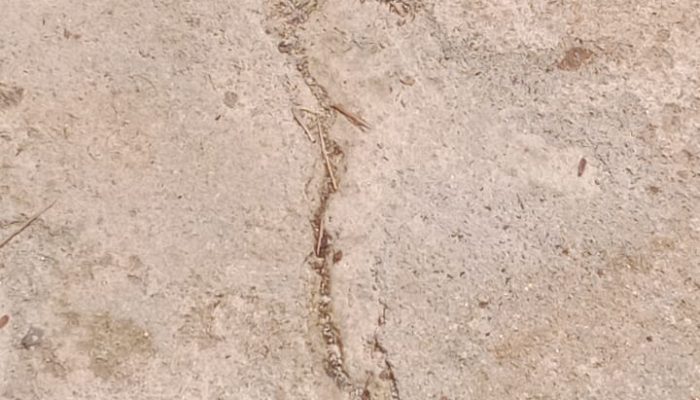 LSM GPRI Soroti Proyek Jalan Usaha Tani Bahalat Bayu: Baru Hitungan Bulan Sudah Rusak, Diduga Tak Sesuai Spesifikasi