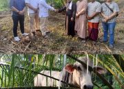 H. SUGIAT SANTOSO Wakil Ketua Komisi XIII DPR RI Serahkan Hewan Kurban ke Pondok Persulukan Tuan Guru Batak di Simalungun