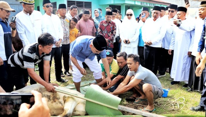 Bupati Simalungun Langsung Menyembelih Hewan Kurban pada Iduladha 1446 H