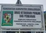 Diduga Tidak Pernah Ngantor, Kadis Ketapang Perlu Dievaluasi