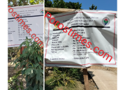 Dugaan Mark-Up Dana Desa di Nagori Jawa Baru, Proyek Rabat Beton Bernilai Ratusan Juta 