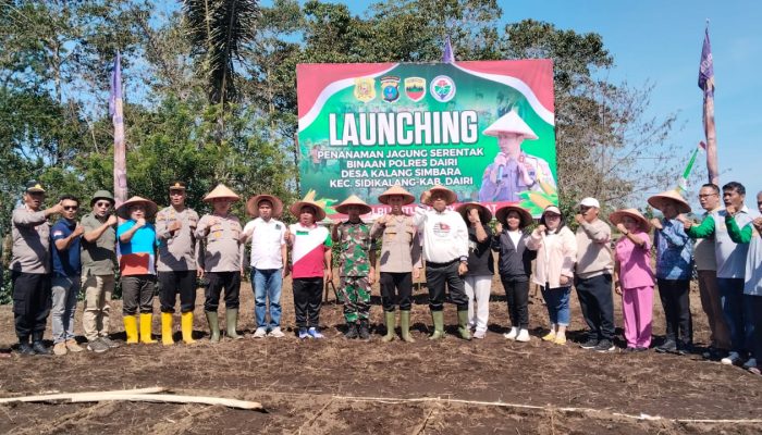 Polres Dairi Launching Penanaman Jagung P32 Perdana di Desa Kalang Simbara, Dukung Ketahanan Pangan Nasional
