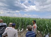 Kapolres Simalungun Dorong Ketahanan Pangan Nasional, Wujudkan Asta Cita Presiden RI Lewat Program Penanaman Jagung Serentak