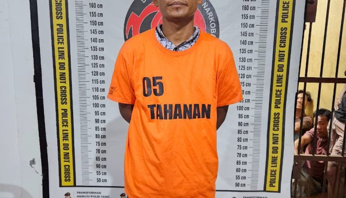 Sat Narkoba Polres Simalungun Ringkus Bandar Sabu di Gunung Maligas, Bongkar Jaringan Narkoba hingga Tanjung Balai