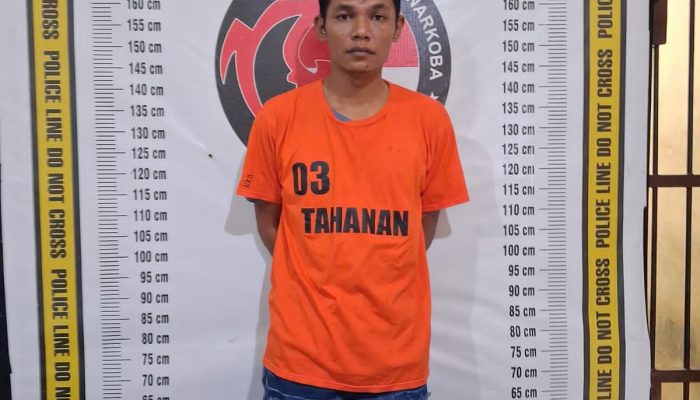 Perang Tanpa Ampun! Polres Simalungun Ringkus Pengedar Sabu di Persawahan