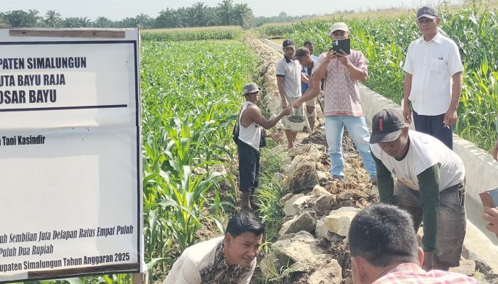 Inilah Penjelasan Pangulu Saat Trial di Nagori Bosar Bayu