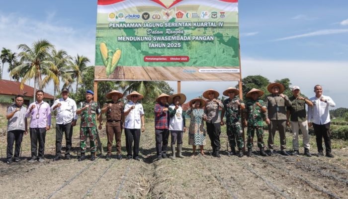 Pemko dan Polres Siantar Tanam Jagung Serentak