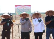 Kapolri dan Wapres Gibran Pimpin Penanaman Jagung Serentak