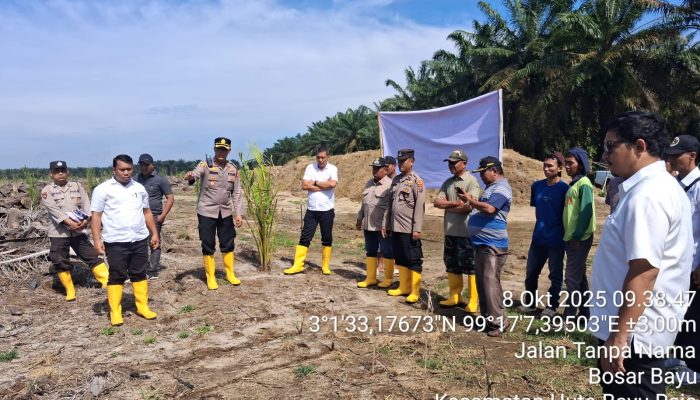 Polsek Tanah Jawa Tanam 50 Hektare Jagung di Lahan PTPN IV