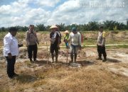 Polsek Tanah Jawa Tanam Jagung Bareng PTPN IV