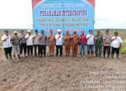 Polsek Bosar Maligas Kawal Tanam Jagung di PTPN IV Kebun PDM