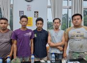 Kasat Reskrim Polres Simalungun Tegas, Lima Pencuri Sawit PTPN-4 Diringkus