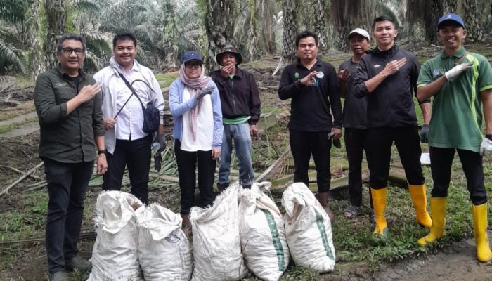 Gotong Royong Kutip Brondolan, Kebun Bah Birung Ulu Genjot Produksi