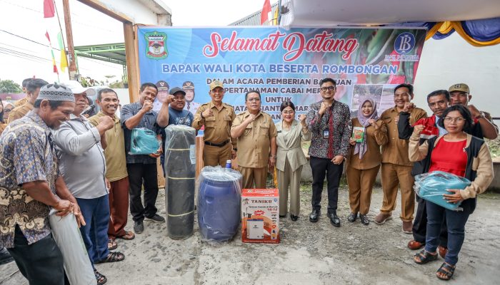 Wali Kota Pematangsiantar Salurkan Bantuan Bibit Cabai untuk Tingkatkan Produksi 