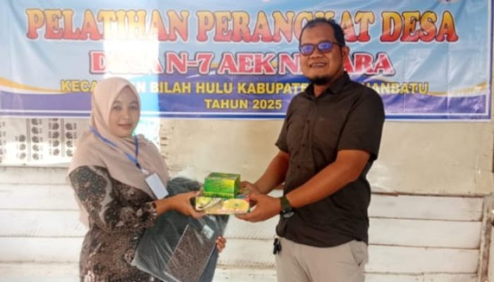 Tingkatkan Pelayanan Publik, Desa N.7 Aek Nabara Gelar Pelatihan Perangkat Desa