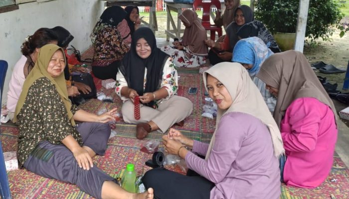 Pelatihan Usaha Rumahan, Desa N.6 Aek Nabara Dorong Kesejahteraan Warga