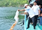 Pemkab Simalungun Tebar 1 Juta Benih Ikan di Danau Toba