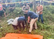 Gerak Cepat Polisi Ungkap Pembunuhan Siswi SMP di Simalungun, Motif Uang Aborsi