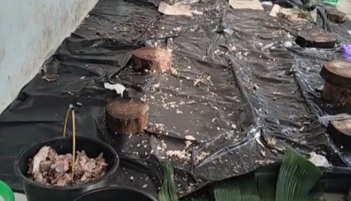 Tradisi 25 Tahun Potong Babi di SMPN 1 Siempat Nempu Pasca Natal