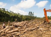 Saatnya Negara Bertindak: TPL dan Ancaman Bencana yang Mengintai Tapanuli