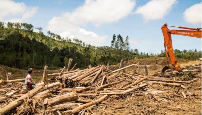 Saatnya Negara Bertindak: TPL dan Ancaman Bencana yang Mengintai Tapanuli