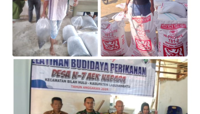 Kades N7 Aek Nabara Klarifikasi Dana Desa 2023–2024 – Edited