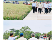 Presiden Prabowo Saksikan Teknologi Pertanian Modern pada Panen Raya Karawang