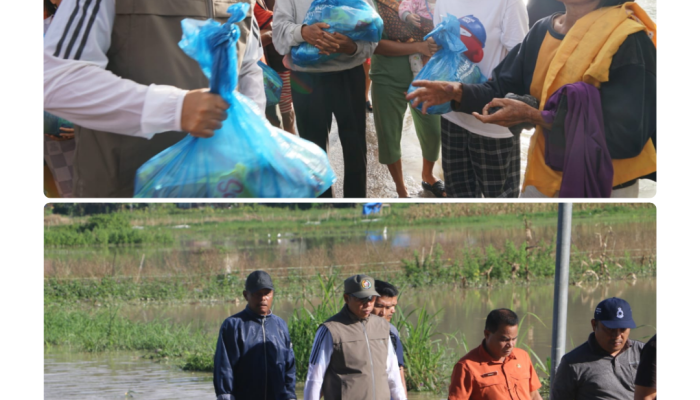 ‎Ketua TP PKK Tapanuli Utara Datangi Korban Kebakaran Parmonangan, Serahkan  Bantuan dan Dukungan Moril   ‎