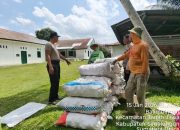 Kapolsek Tanah Jawa Panen Jagung di Lahan Polse