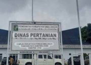 PPK Bermasalah Kembali Ditunjuk, Kadis Pertanian Simalungun Tegaskan Akan Diganti