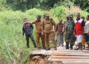 Bupati Taput Tinjau Jembatan Putus di Garoga, Perbaikan Segera Dilakukan