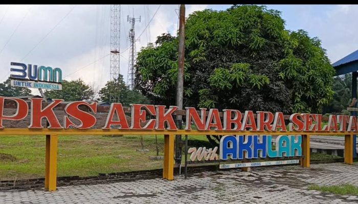 PTPN IV Regional I PKS Aek Nabara Bantah Isu TBS Mentah dan Fee