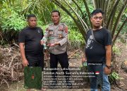 Tak Beri Ruang Narkoba, Polsek Kampung Rakyat Intensifkan GSN di Wilkum Labusel