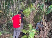 Polsek Bilah Hilir Gerebek Sarang Narkoba di Negeri Lama, Pondok di Perkebunan Sawit Dirobohkan