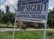 Kontroversi PPPK di Gunung Maligas: Operator yang Lama Tak Masuk Sekolah Lolos Seleksi, Kini Ditugaskan di Perpustakaan
