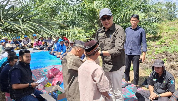 Produksi Kebun Bah Birung Ulu Tembus 10,9 Juta Kg, Lampaui Target RKAP