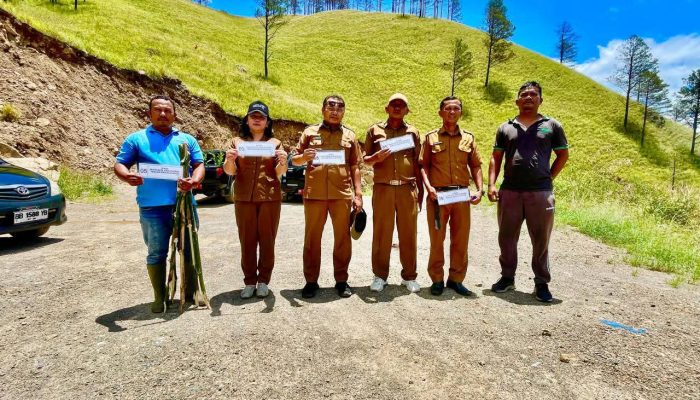 Pemkab Dairi Monitoring Pohon Kemiri di Paropo