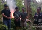 Polsek Bosar Maligas Gerebek dan Bakar Lapak Narkoba 