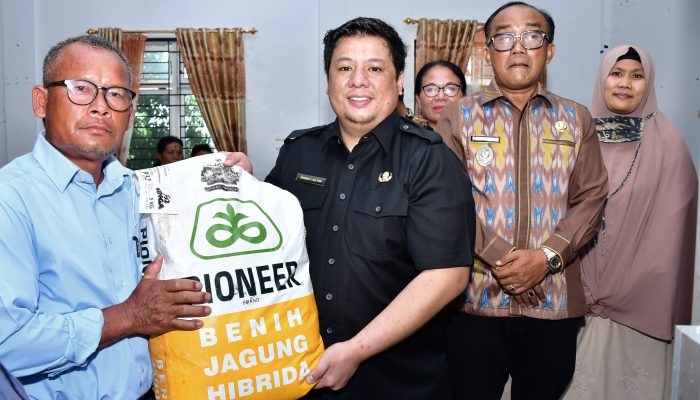 Bupati Samosir Serahkan Bibit Jagung untuk 11 Kelompok Tani
