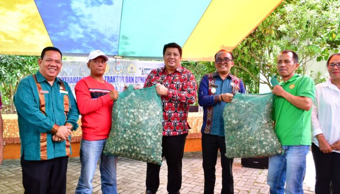 Didukung APBN 2026, Samosir Disiapkan Jadi Sentra Bawang Putih Nasional