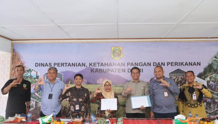 Dinas Pertanian Dairi Dorong Literasi Keuangan Petani Melalui Program HDDAP