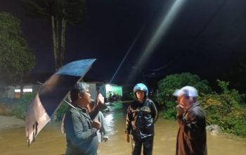 Wabup Taput Tinjau Banjir Aek Haidupan, Pemkab Percepat Normalisasi Sungai